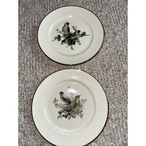 SET OF 2 Vinage JKW Germany Fine Porcelain‎ Bird Plates 8.25"